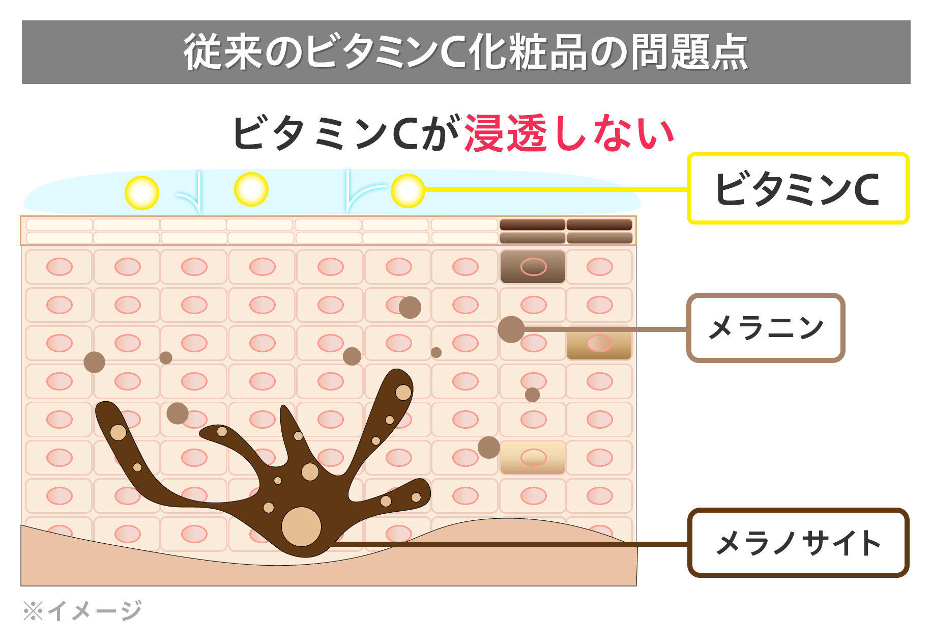 浸透しないビタミンC化粧品